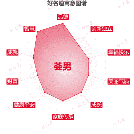 名字荟男的寓意图谱