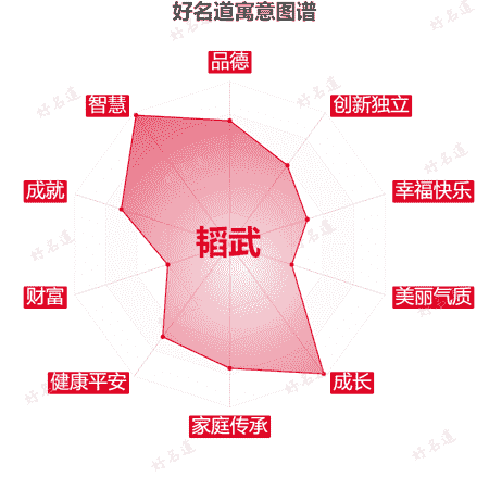 名字韬武的寓意图谱