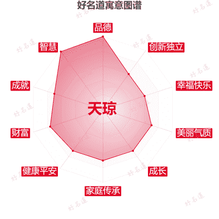 名字天琼的寓意图谱