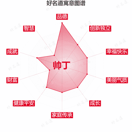 名字帅丁的寓意图谱