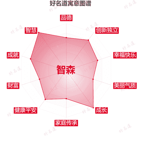 名字智森的寓意图谱