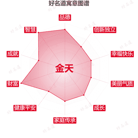 名字金天的寓意图谱