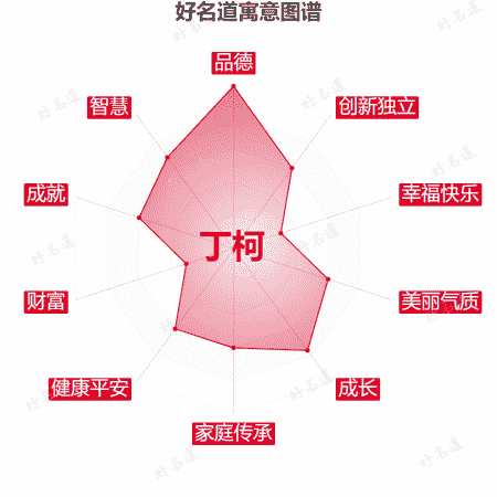 名字丁柯的寓意图谱