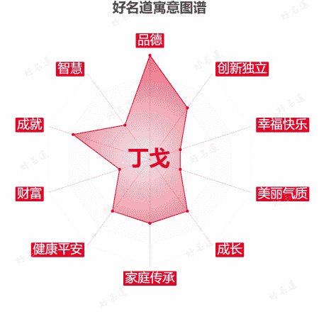 名字丁戈的寓意图谱