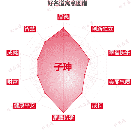 名字子珅的寓意图谱