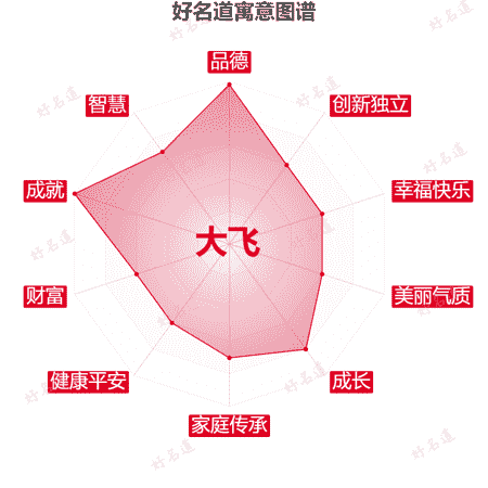 名字大飞的寓意图谱