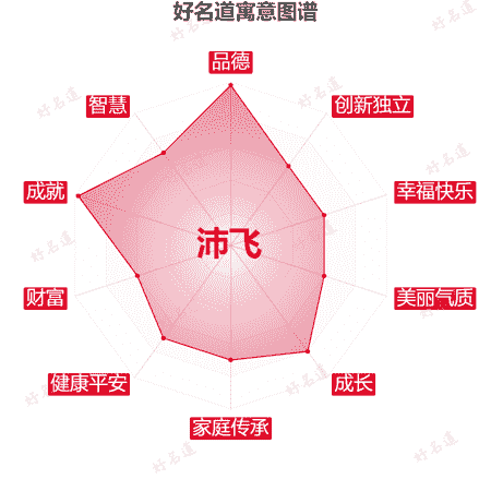 名字沛飞的寓意图谱
