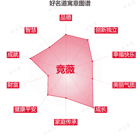 名字竞薇的寓意图谱